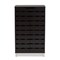 Baxton Studio Ernest Modern and Contemporary Dark Brown Finished Wood 2-Door Shoe Storage Cabinet 178-11027-Zoro - alternate 6